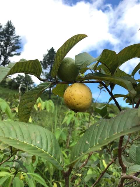 Community members working on local project